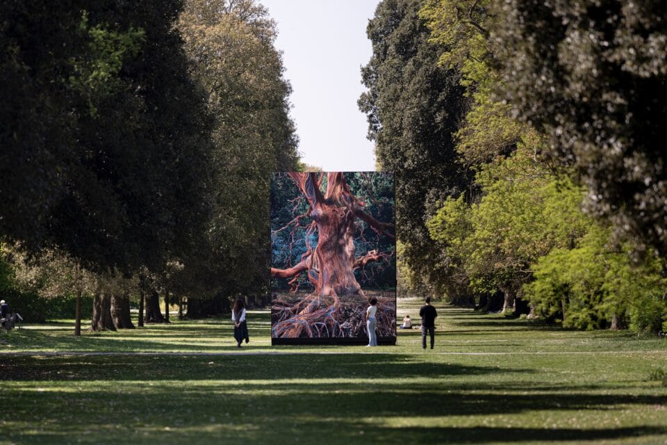 people walk around a large digital installation of a computer-animated oak tree, set in a botanical garden